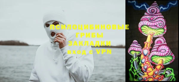 стафф Бородино