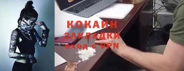 стафф Бородино