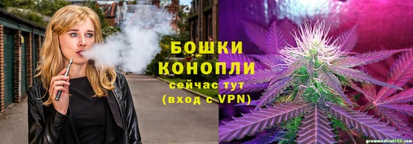 стафф Бородино