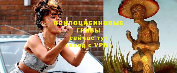 стафф Бородино