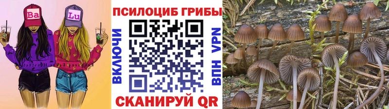 Галлюциногенные грибы GOLDEN TEACHER  как найти закладки  Городовиковск 