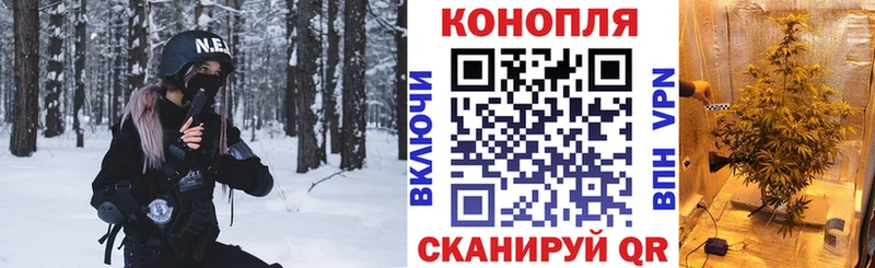 Шишки марихуана конопля Городовиковск